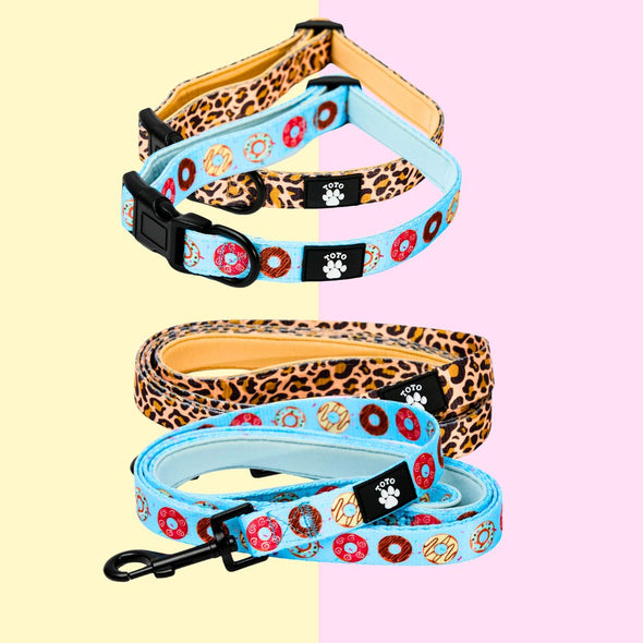 Collars + Leashes - Toto The Label 
