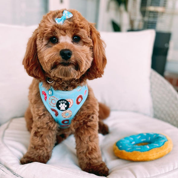 Doughnut Harness - Toto The Label