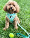 Tennis Ball Harness - Toto The Label