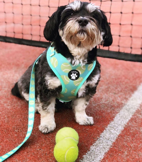 Tennis Ball Harness - Toto The Label