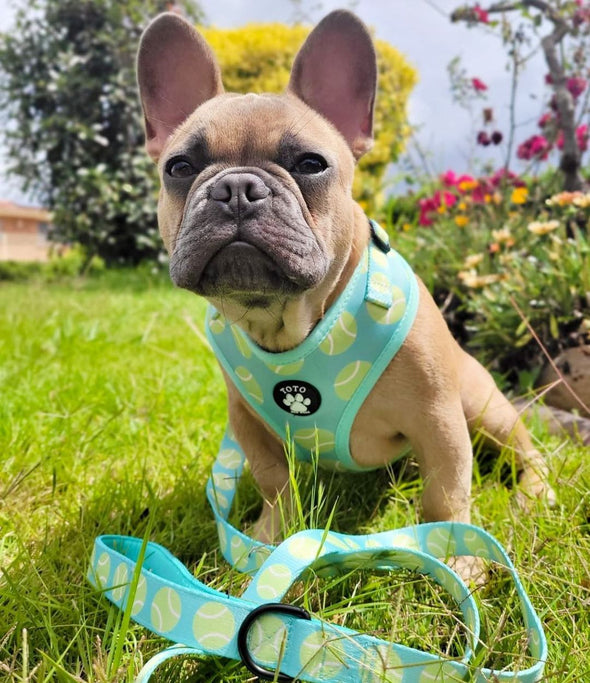 Tennis Ball Harness - Toto The Label